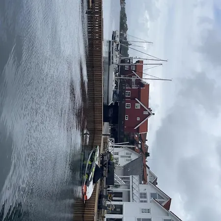 Large By The Sea For Rent During Ons Willa *