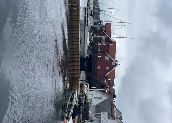 Large By The Sea For Rent During Ons Willa *